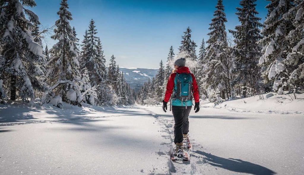 Faire des raquettes : réponses à 5 questions essentielles