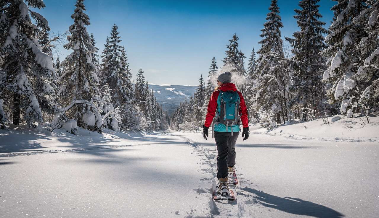 Faire des raquettes : réponses à 5 questions essentielles